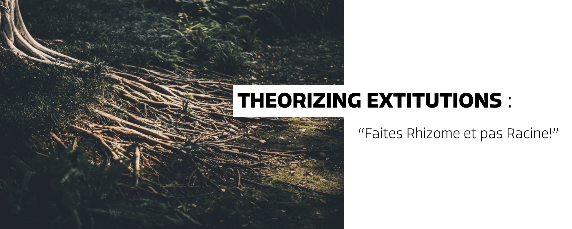 Theorizing Extitutions : Faites Rhizome et pas Racine!
